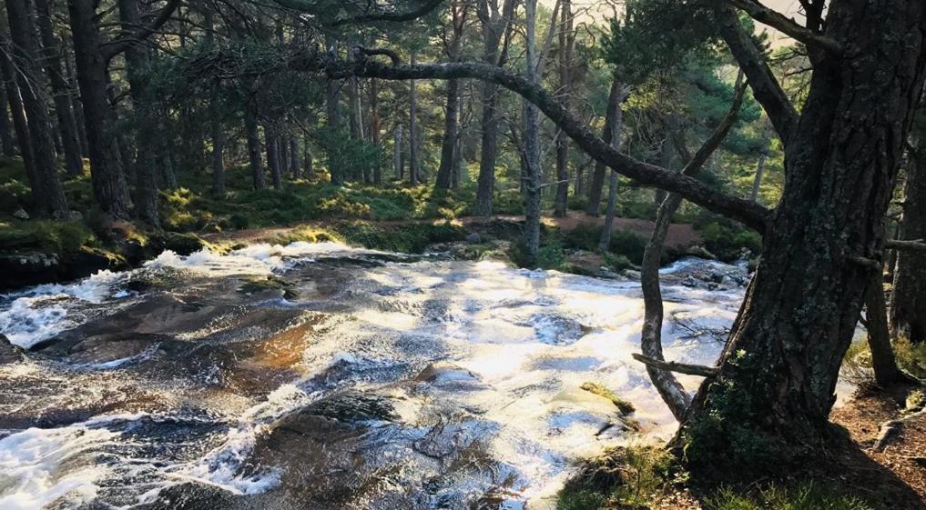 Siskin Guest Suite Kinrara Eksteriør billede