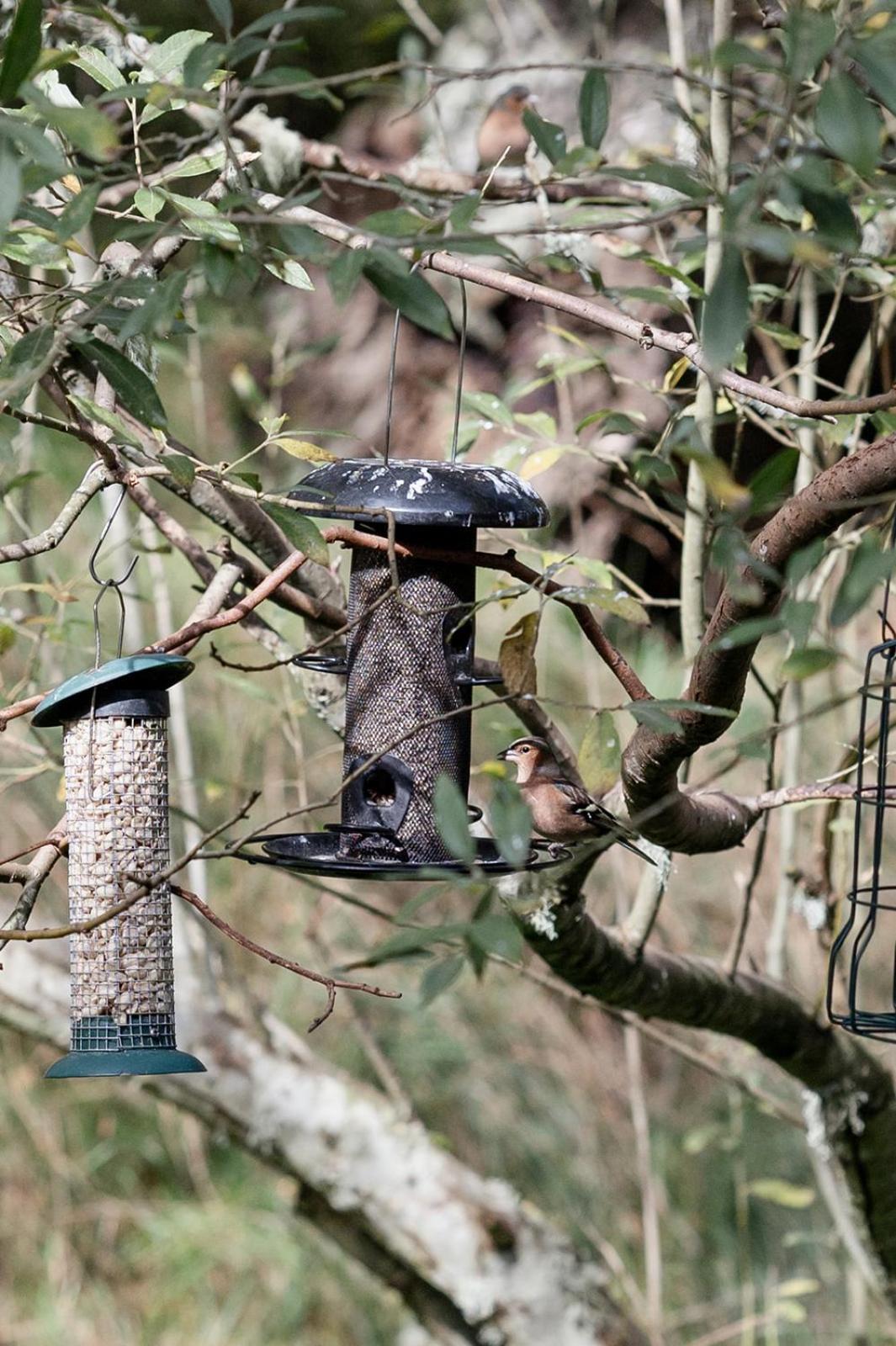 Siskin Guest Suite Kinrara Eksteriør billede