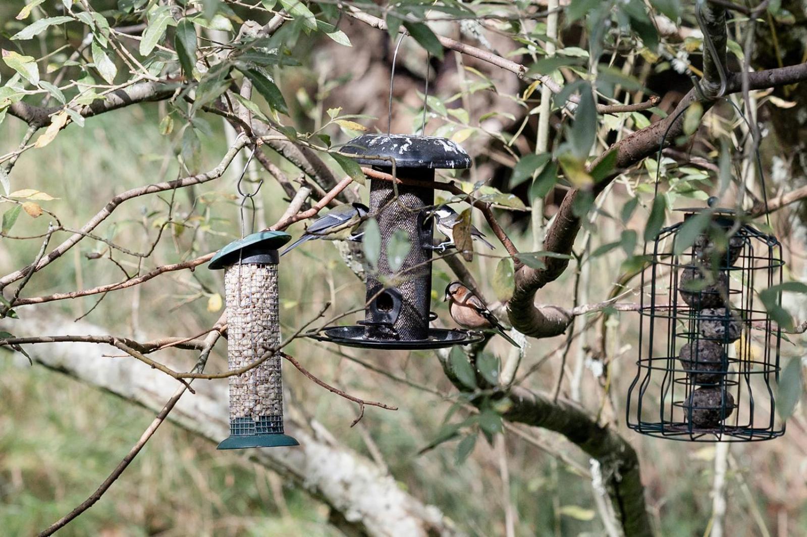 Siskin Guest Suite Kinrara Eksteriør billede
